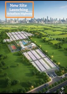 Offerings whatsapp image 2025 09 19 at 16.54.16